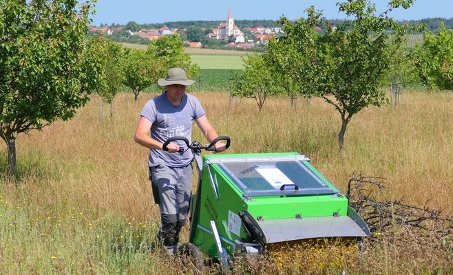 Як у національному парку Подийї збирають насіння трав, щоб повернути степам природний вигляд