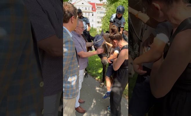 Полиция Чехии показала, как следит за порядком в центре Праги летом