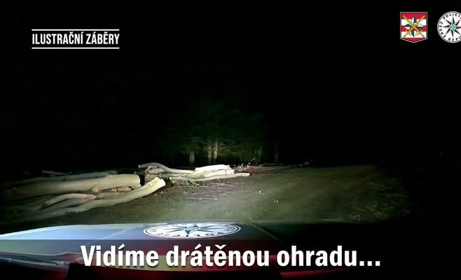 На Знойемске полиция нашла в лесу пятерых заблудившихся детей