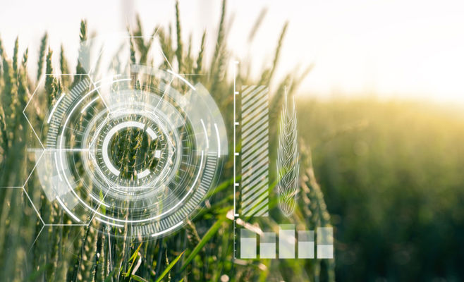 Artificial Intelligence Learns to Tell Weeds from Crops: How Autonomous Machinery Is Transforming Czech Agriculture