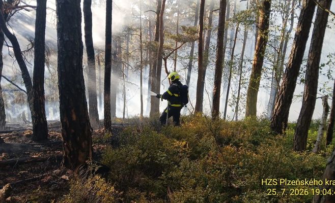 Firefighters battle Czechia's largest wildfire of the year near Velhartice in the Klatovy region for nearly 24 hours