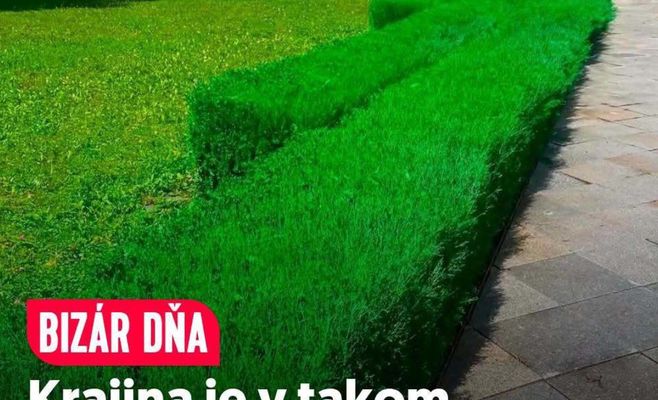 In Slovakia, dried-out bushes were simply spray-painted green ahead of a festival