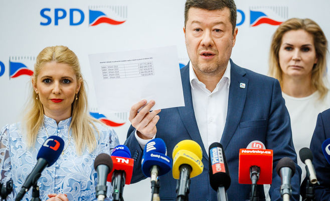 SPD замовило передвиборчу графіку у німецьких фахівців з AfD