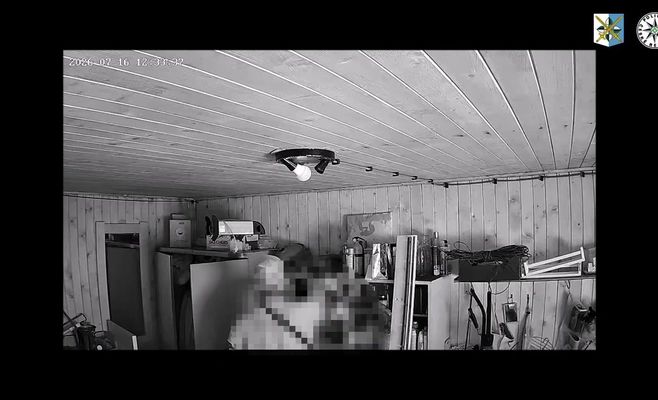 Полиция Чехии раскрыла серию из шести взломов дачных домиков