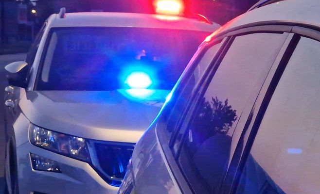 Triple car crash caused by wild boars near Pohořelice by Brno leaves two women dead