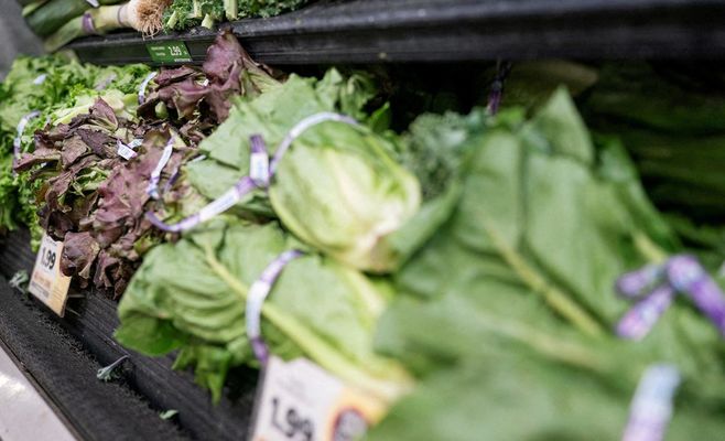 US Records First Two Deaths from Intestinal Parasite Linked to Taco Bell Salad