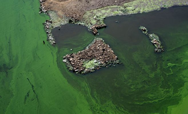 Уровень воды в Орлицкой плотине резко упал: на дне показались остатки затопленных деревень