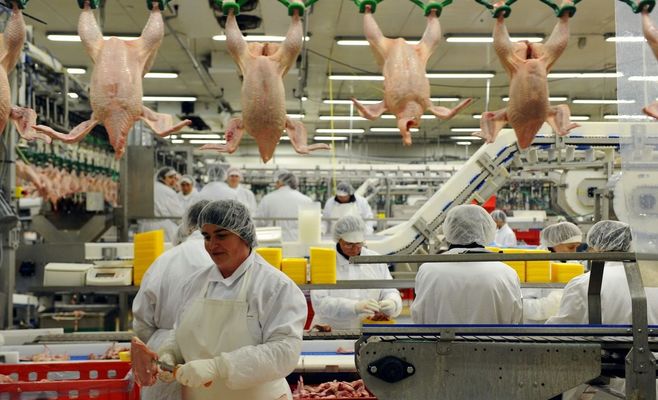 Прибиральниця загинула, миючи вікна на заводі Agrofert: трудова інспекція виявила порушення в агентства, але справу так і не відкрили