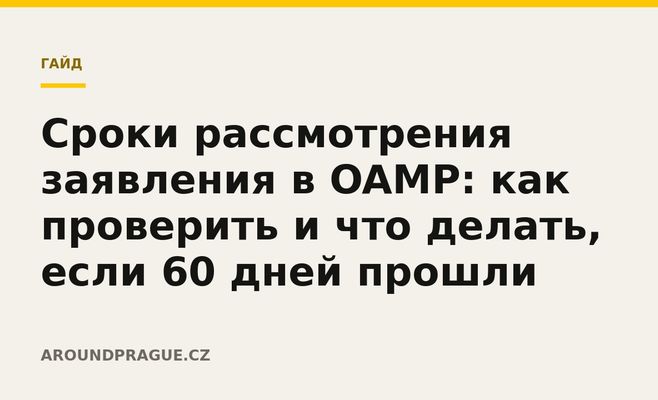 Сроки рассмотрения заявления в OAMP: как проверить и что делать, если 60 дней прошли