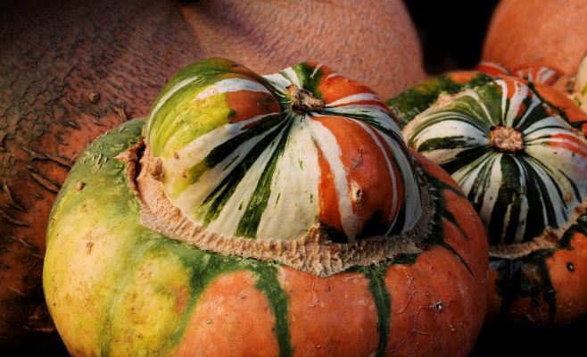 Хэллоуин в Ботаническом саду