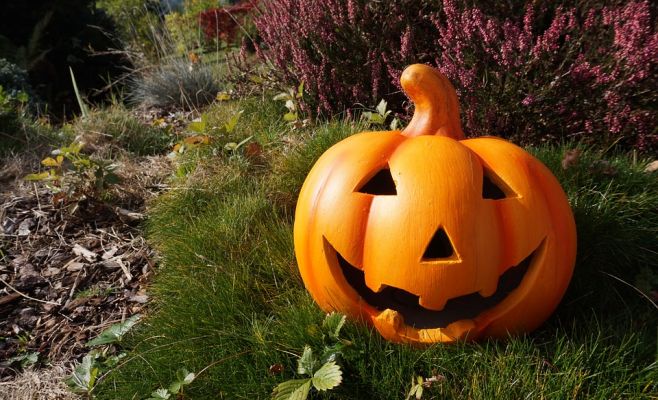 Хэллоуин в Ботаническом саду