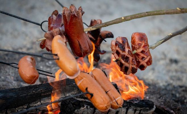 Heatwave and Drought: Czechia Bans Campfires and Smoking in Forests, With Fines Reaching 500,000 Crowns