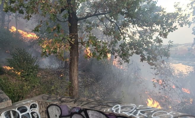У Летенських садах у Празі загорілася рослинність на великій площі