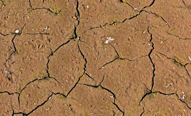 Drought Costs Austrian Farmers Nearly a Billion Euros