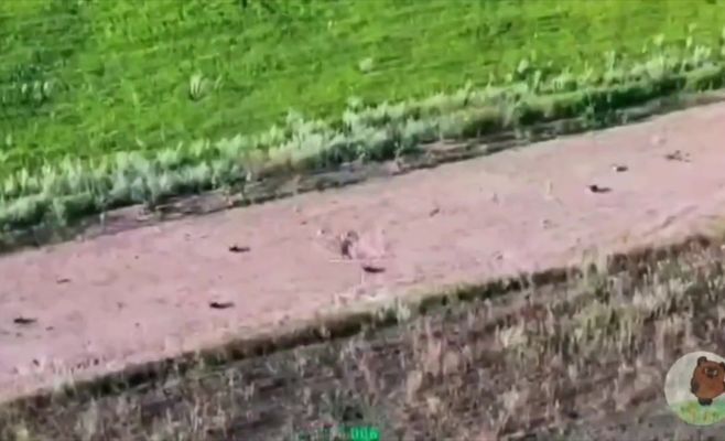 Dozens of FPV Drones Disguised as Landmines Found on a Road in Donbas