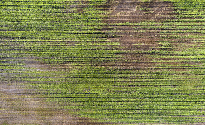 Ecologist: Heat and drought have become the new normal in Czechia — systemic action is needed