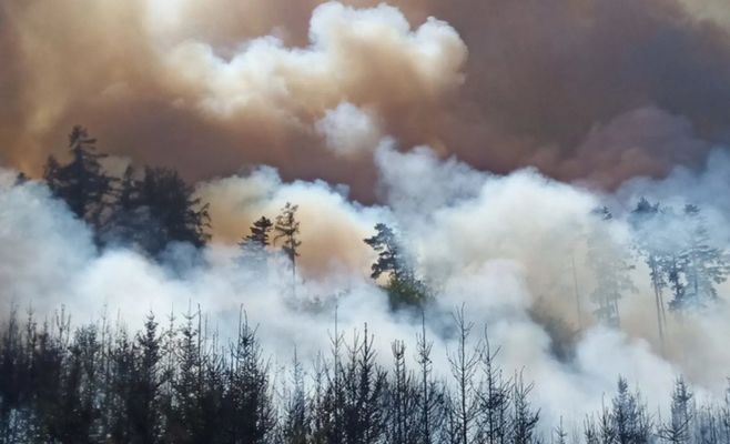 Forest fire near Strakonice brought under control: around 10 hectares burned