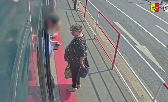 Полиция Праги ищет женщину, оставившую сумку с погибшими животными