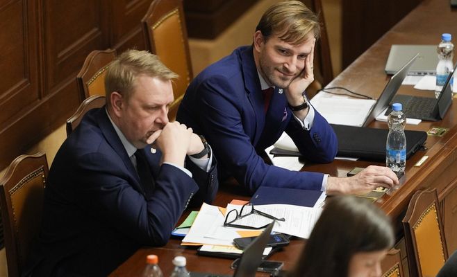 Минтруда Чехии против ЭКО для одиноких женщин: проект раскритикован