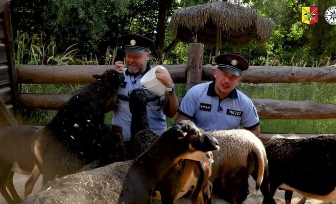 Пражская полиция приглашает на день открытых дверей в зоопарке