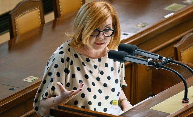 Сенат повернув закон про відродження електронного обліку продажів до Палати депутатів