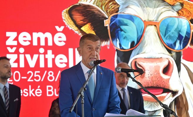 Бабиш на выставке «Земля-кормилица»: полки с продуктами — не навсегда