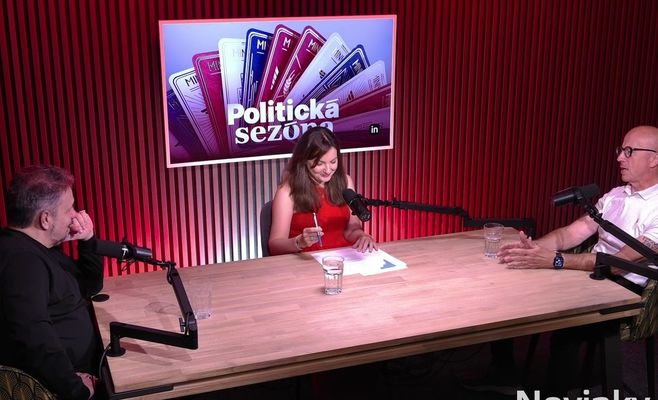 Telička: Babiš will never let another ANO candidate run for president