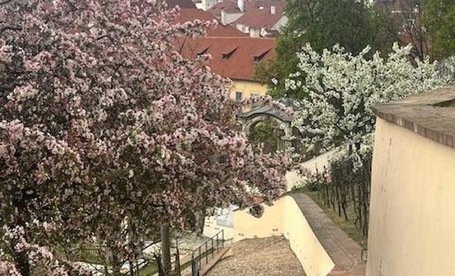 Прогулка по зелени и садам вокруг Пражского Града