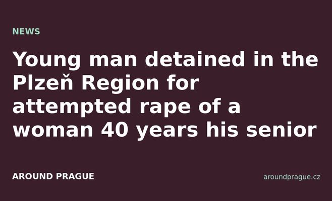 Young man detained in the Plzeň Region for attempted rape of a woman 40 years his senior