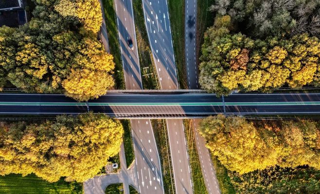 20-year-old motorcyclist dies after crashing into tree in Jindřichův Hradec