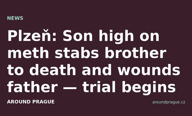 Plzeň: Son high on meth stabs brother to death and wounds father — trial begins