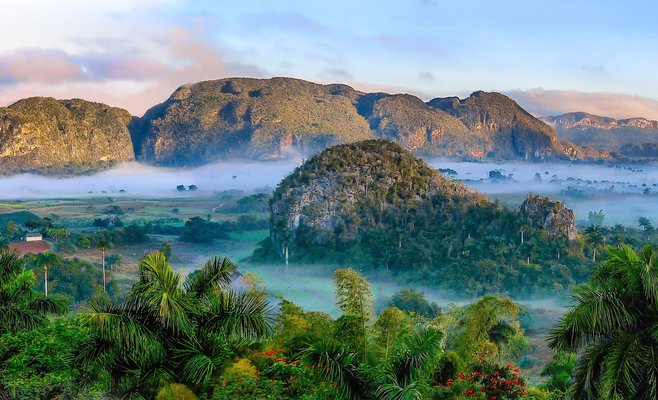 Фестиваль «Обзоры»