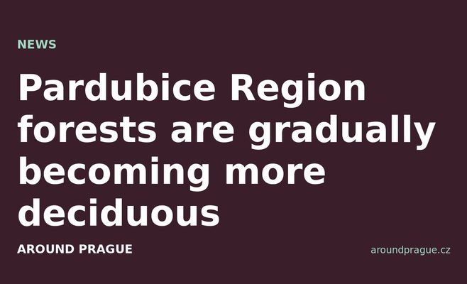 Pardubice Region forests are gradually becoming more deciduous
