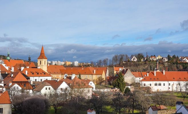 Главу чеської екоінспекції звинувачують у зв'язках із наркобізнесом родини — міністр захищає його
