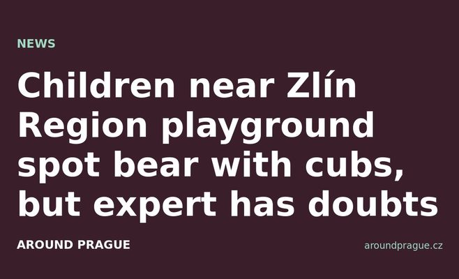 Children near Zlín Region playground spot bear with cubs, but expert has doubts