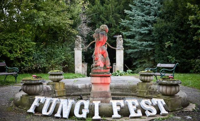 Czech Fungi Fest 2026 — фестиваль грибов в Праге