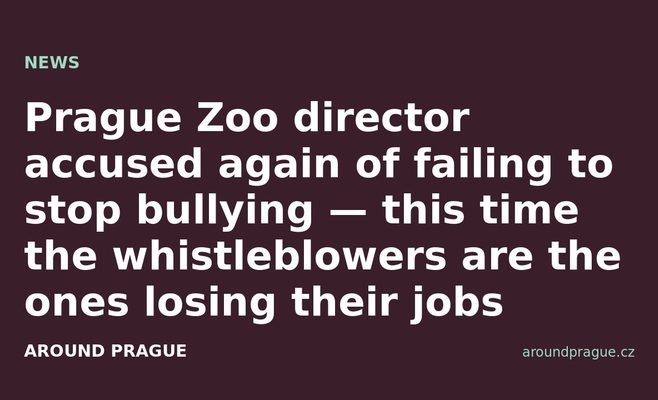 Prague Zoo director accused again of failing to stop bullying — this time the whistleblowers are the ones losing their jobs
