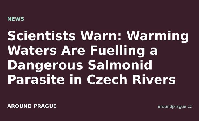 Scientists Warn: Warming Waters Are Fuelling a Dangerous Salmonid Parasite in Czech Rivers