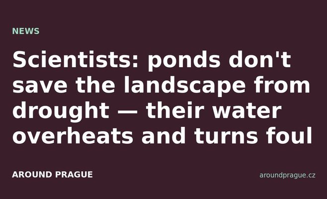 Scientists: ponds don't save the landscape from drought — their water overheats and turns foul