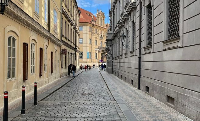 What to do in Prague this week: a wine harvest festival, a jellyfish museum and a family fun run