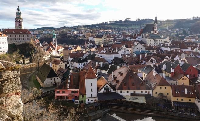 Зарплати директорів зоопарків Чехії: скільки отримує керівник празького зоопарку