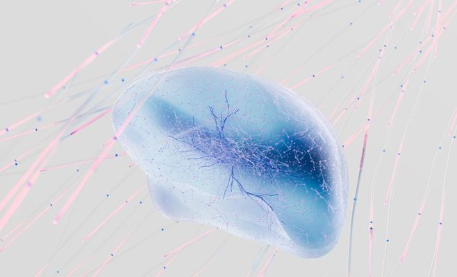 Anthropic CEO Warns: AI Is Developing Too Fast — In a Year, It May Be Too Late