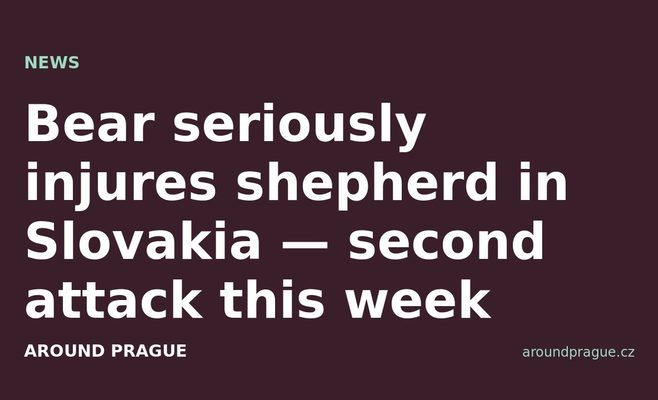 Bear seriously injures shepherd in Slovakia — second attack this week