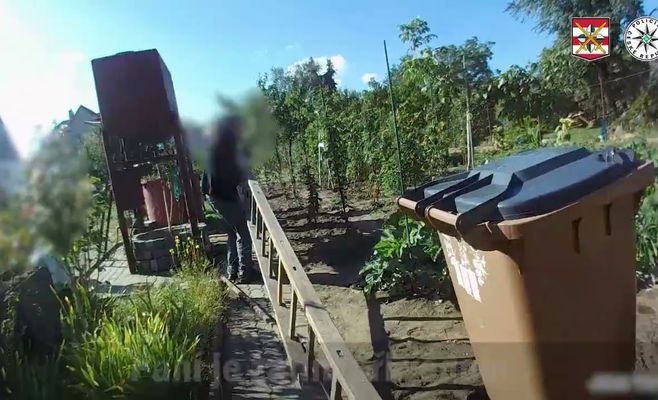 В Чехии пожилая женщина упала в колодец, её спасли пожарные
