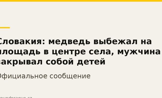 Словакия: медведь выбежал на площадь в центре села, мужчина закрывал собой детей