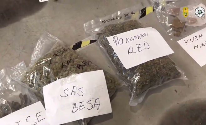 Чешская полиция провела операцию Korund против производителей синтетических каннабиноидов