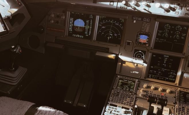 Напавший на пилота FlyDubai топориком был под наблюдением спецслужб трёх стран