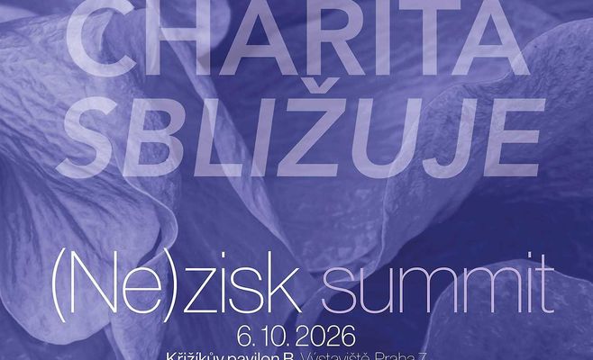 (Ne)zisk саммит: день некоммерческого сектора в Праге