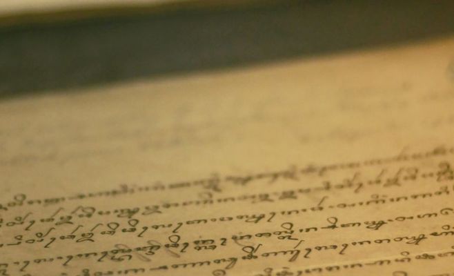 Рукопись Войнича могли читать неправильно: учёные заподозрили, что страницы перепутали