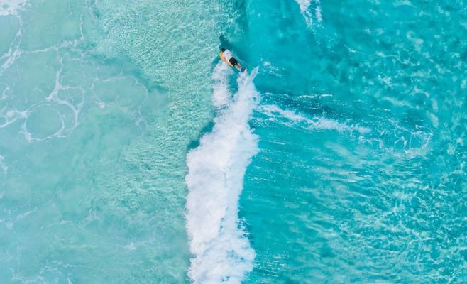Shark Attack Survivor Describes Jabbing the Predator's Eye to Escape Off Australia